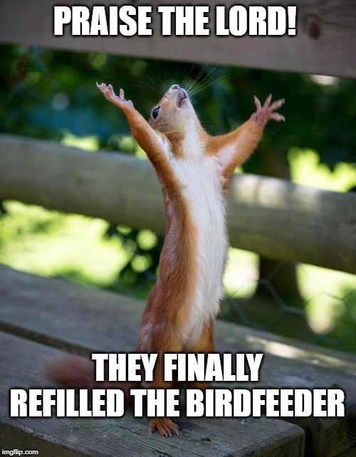 Thank you Jesus squirrel | PRAISE THE LORD! THEY FINALLY REFILLED THE BIRDFEEDER | image tagged in thank you jesus squirrel | made w/ Imgflip meme maker