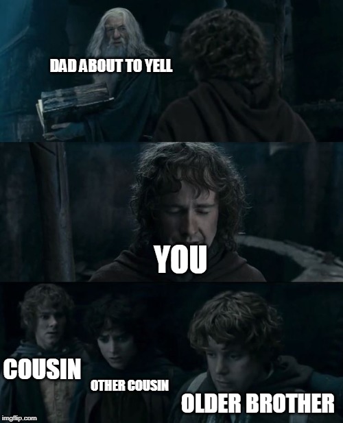 Pippin Messed Up | DAD ABOUT TO YELL; YOU; COUSIN; OTHER COUSIN; OLDER BROTHER | image tagged in pippin messed up | made w/ Imgflip meme maker