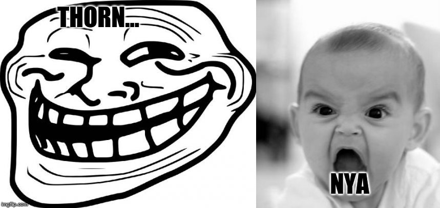 THORN... NYA | image tagged in memes,angry baby,troll face | made w/ Imgflip meme maker