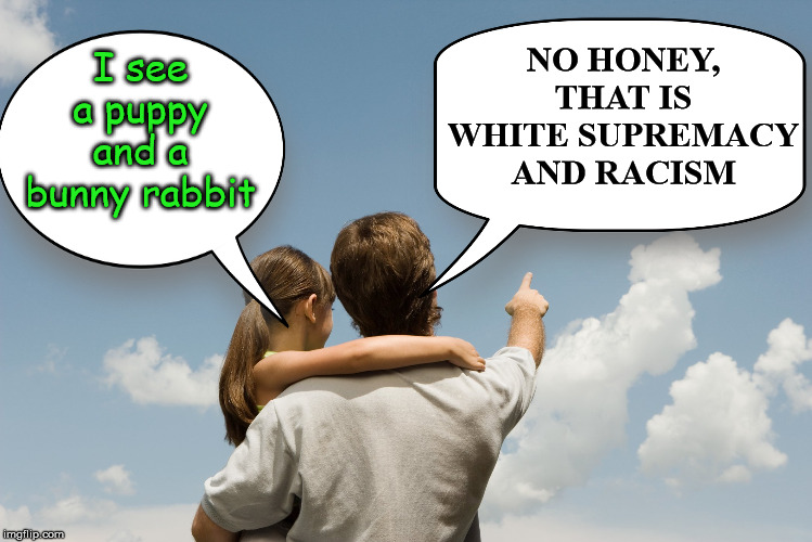 SJW parents ruin everything | NO HONEY, THAT IS WHITE SUPREMACY AND RACISM; I see a puppy and a bunny rabbit | image tagged in sjw,i see what you did there,racism,white supremacy | made w/ Imgflip meme maker