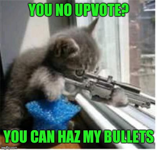 cats with guns | YOU NO UPVOTE? YOU CAN HAZ MY BULLETS | image tagged in cats with guns | made w/ Imgflip meme maker