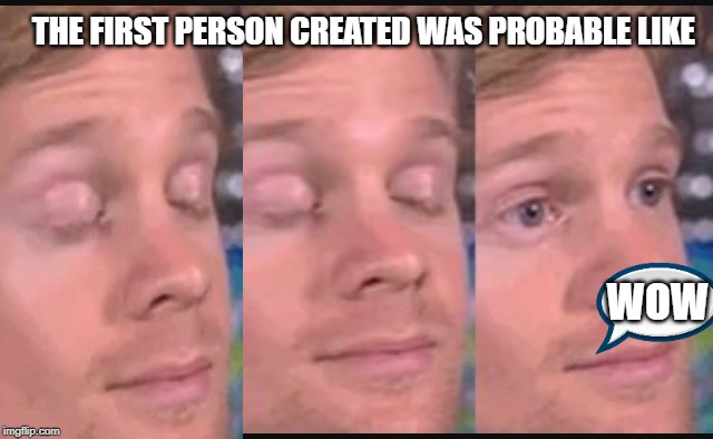 Blinking guy | THE FIRST PERSON CREATED WAS PROBABLE LIKE; WOW | image tagged in blinking guy | made w/ Imgflip meme maker