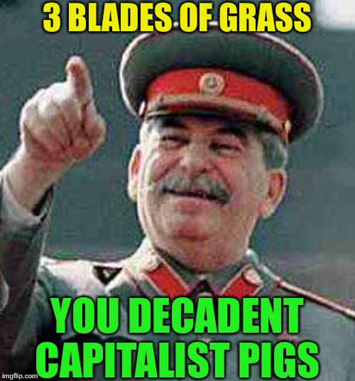 Stalin says | 3 BLADES OF GRASS YOU DECADENT CAPITALIST PIGS | image tagged in stalin says | made w/ Imgflip meme maker