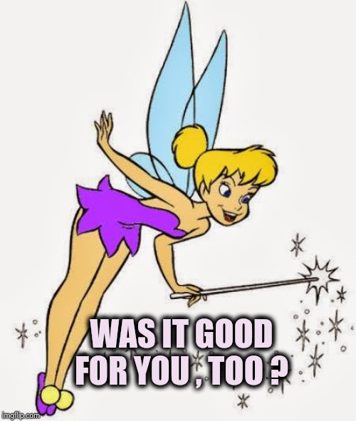 Tinkerbell | WAS IT GOOD FOR YOU , TOO ? | image tagged in tinkerbell | made w/ Imgflip meme maker