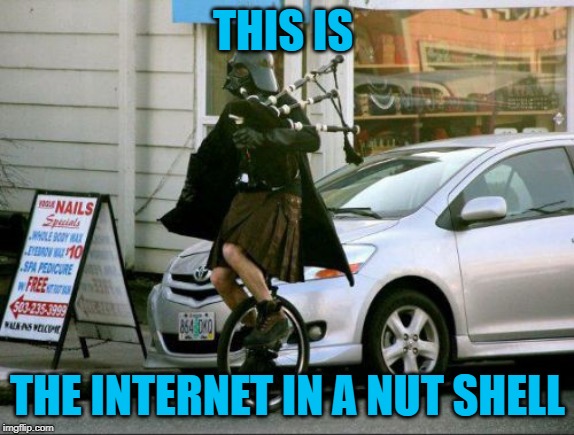 Invalid Argument Vader | THIS IS; THE INTERNET IN A NUT SHELL | image tagged in memes,invalid argument vader | made w/ Imgflip meme maker