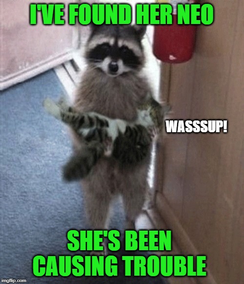 I'VE FOUND HER NEO WASSSUP! SHE'S BEEN CAUSING TROUBLE | made w/ Imgflip meme maker