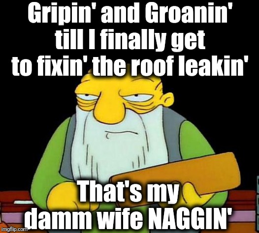That's a paddlin' Meme | Gripin' and Groanin' till I finally get to fixin' the roof leakin'; That's my damm wife NAGGIN' | image tagged in memes,that's a paddlin' | made w/ Imgflip meme maker