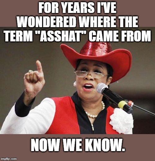 Congresswomen Frederica Wilson is a prime example. | FOR YEARS I'VE WONDERED WHERE THE TERM "ASSHAT" CAME FROM; NOW WE KNOW. | image tagged in fredrica macho man | made w/ Imgflip meme maker