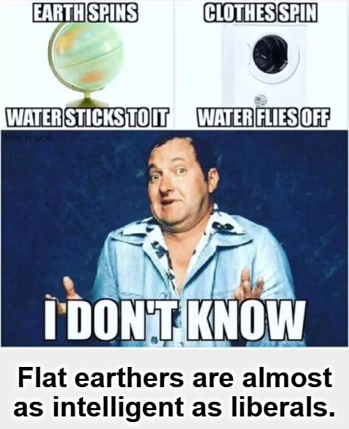 Flat Earthers are Idiots | image tagged in flat earthers,flat earth,flat earth club,flat earth dome,flat earthers are morons,crazy liberals | made w/ Imgflip meme maker