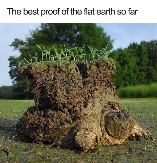 The BEST proof of a Flat Earth so far | image tagged in flat earthers,flat earthers are morons,book of idiots,flat earth club,flat earth,morons | made w/ Imgflip meme maker
