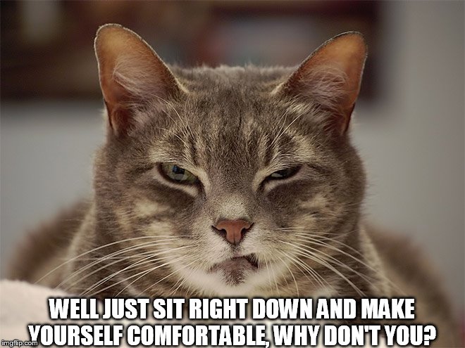 Sarcasm Cat | WELL JUST SIT RIGHT DOWN AND MAKE YOURSELF COMFORTABLE, WHY DON'T YOU? | image tagged in sarcasm cat | made w/ Imgflip meme maker