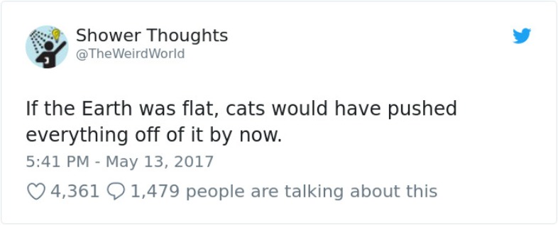 If the earth was flat, cats would have pushed everything off it by now | image tagged in flat earth,cats,flat earthers,flat earth club,flat earthers are morons,book of idiots | made w/ Imgflip meme maker