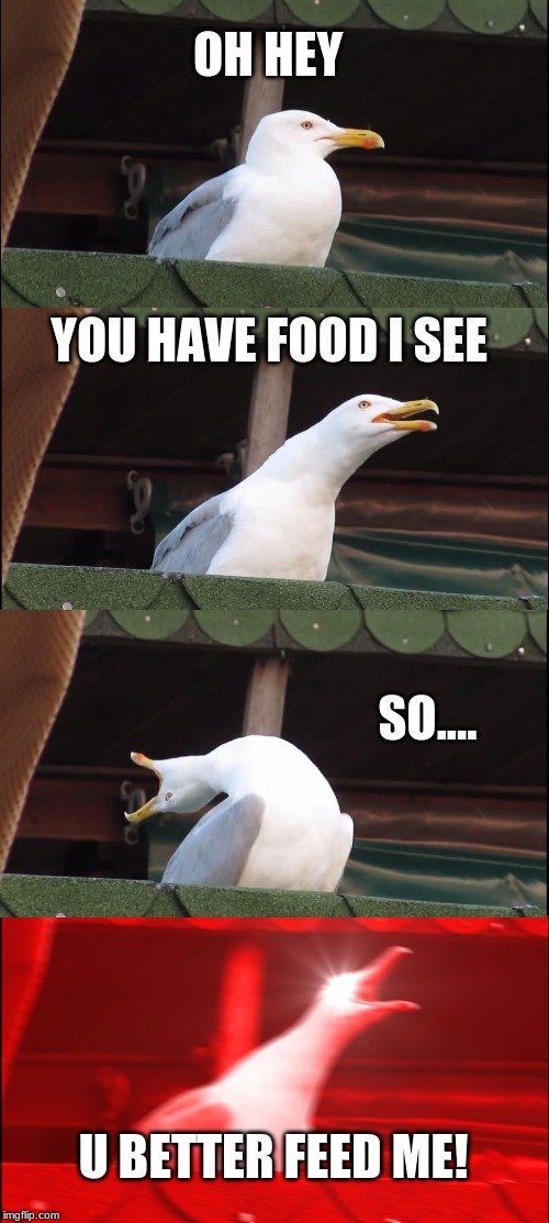 Inhaling Seagull Meme | OH HEY; YOU HAVE FOOD I SEE; SO.... U BETTER FEED ME! | image tagged in memes,inhaling seagull | made w/ Imgflip meme maker