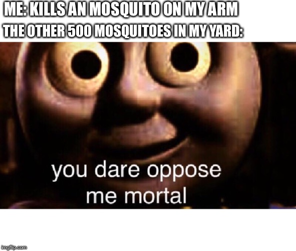 You dare oppose me mortal | ME: KILLS AN MOSQUITO ON MY ARM; THE OTHER 500 MOSQUITOES IN MY YARD: | image tagged in you dare oppose me mortal | made w/ Imgflip meme maker