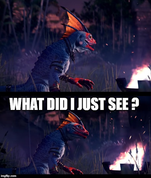 WHAT DID I JUST SEE ? | image tagged in confused lizard | made w/ Imgflip meme maker