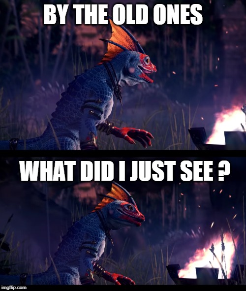 BY THE OLD ONES; WHAT DID I JUST SEE ? | image tagged in confused lizard | made w/ Imgflip meme maker