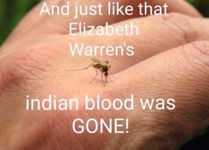 And just like that, Elizabeth Warren's Indian blood was GONE! | image tagged in full retard senator elizabeth warren,elizabeth warren,pocohauntas,cray liberals,butthurt liberals,stupid liberals | made w/ Imgflip meme maker