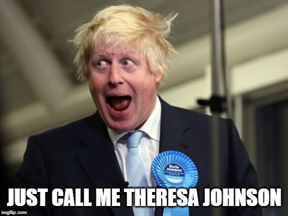 Boris Johnson | JUST CALL ME THERESA JOHNSON | image tagged in boris johnson | made w/ Imgflip meme maker