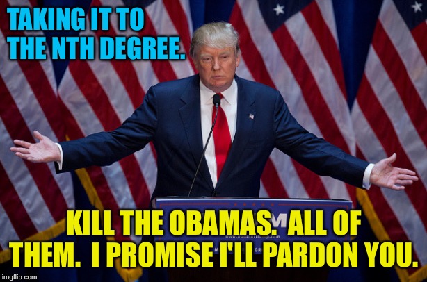 Donald Trump | TAKING IT TO 
THE NTH DEGREE. KILL THE OBAMAS.  ALL OF THEM.  I PROMISE I'LL PARDON YOU. | image tagged in donald trump | made w/ Imgflip meme maker