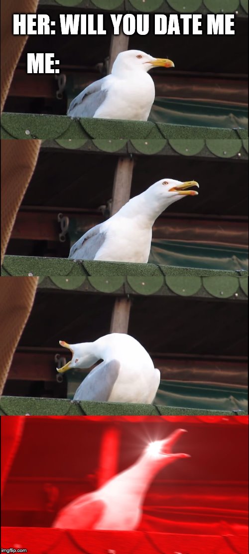 Inhaling Seagull Meme | HER: WILL YOU DATE ME; ME: | image tagged in memes,inhaling seagull | made w/ Imgflip meme maker