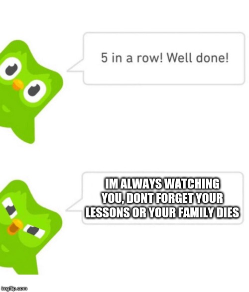 Dont forget! |  IM ALWAYS WATCHING YOU, DONT FORGET YOUR LESSONS OR YOUR FAMILY DIES | image tagged in duolingo 5 in a row,duolingo bird,threat,funny,memes | made w/ Imgflip meme maker