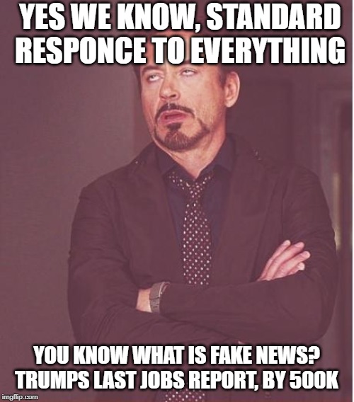 Face You Make Robert Downey Jr Meme | YES WE KNOW, STANDARD RESPONCE TO EVERYTHING YOU KNOW WHAT IS FAKE NEWS? TRUMPS LAST JOBS REPORT, BY 500K | image tagged in memes,face you make robert downey jr | made w/ Imgflip meme maker