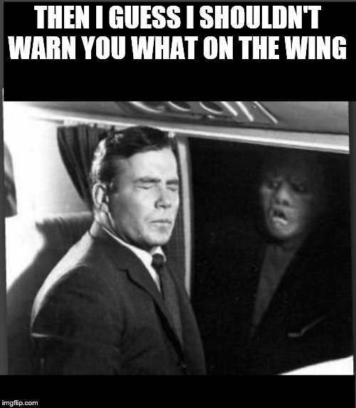Shatner Twilight Zone something on the wing  | THEN I GUESS I SHOULDN'T WARN YOU WHAT ON THE WING | image tagged in shatner twilight zone something on the wing | made w/ Imgflip meme maker