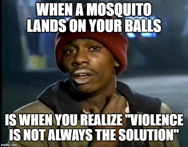 Y'all Got Any More Of That Meme | WHEN A MOSQUITO LANDS ON YOUR BALLS; IS WHEN YOU REALIZE "VIOLENCE IS NOT ALWAYS THE SOLUTION" | image tagged in memes,y'all got any more of that | made w/ Imgflip meme maker