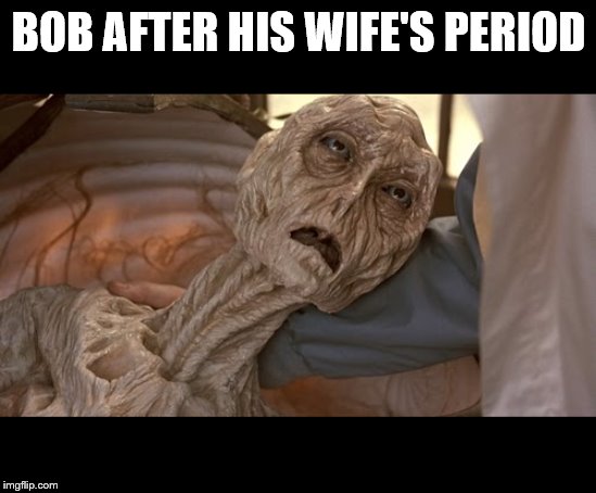 Alien Dying | BOB AFTER HIS WIFE'S PERIOD | image tagged in alien dying | made w/ Imgflip meme maker