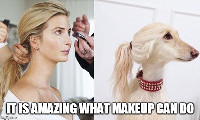 MAKEUP | IT IS AMAZING WHAT MAKEUP CAN DO | image tagged in amazing,makeup,trump,dog,bitch,treason | made w/ Imgflip meme maker