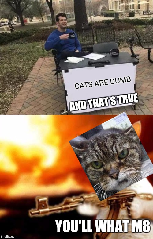 CATS ARE DUMB; AND THAT S TRUE; YOU'LL WHAT M8 | image tagged in cat with gun,memes,change my mind | made w/ Imgflip meme maker