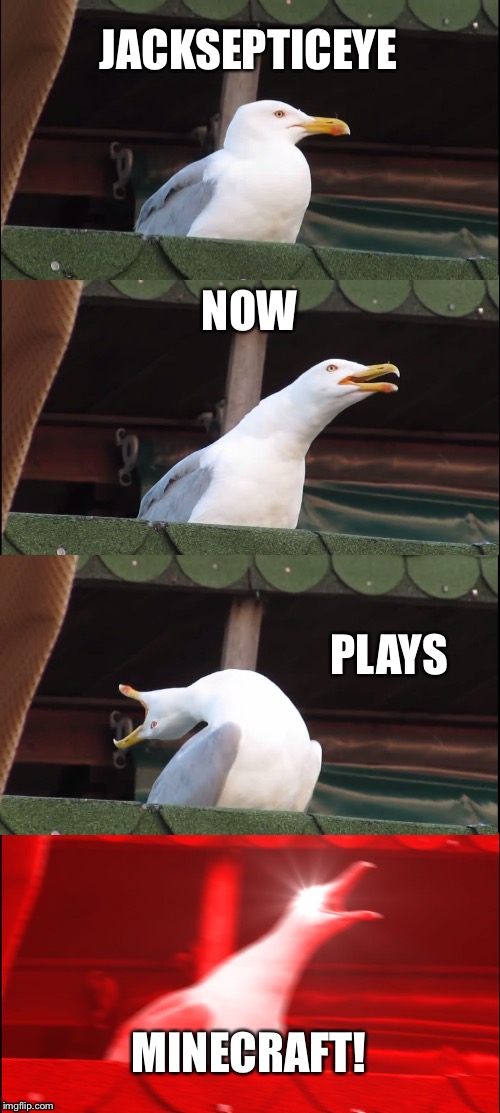 Inhaling Seagull Meme | JACKSEPTICEYE; NOW; PLAYS; MINECRAFT! | image tagged in memes,inhaling seagull | made w/ Imgflip meme maker