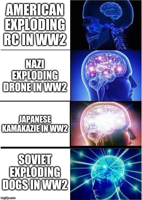 Expanding Brain | AMERICAN EXPLODING RC IN WW2; NAZI EXPLODING DRONE IN WW2; JAPANESE KAMAKAZIE IN WW2; SOVIET EXPLODING DOGS IN WW2 | image tagged in memes,expanding brain | made w/ Imgflip meme maker