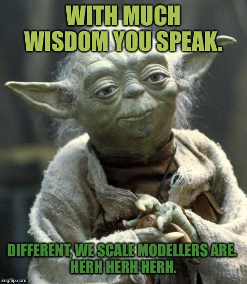 yoda | WITH MUCH WISDOM YOU SPEAK. DIFFERENT, WE SCALE MODELLERS ARE. 
HERH HERH HERH. | image tagged in yoda | made w/ Imgflip meme maker