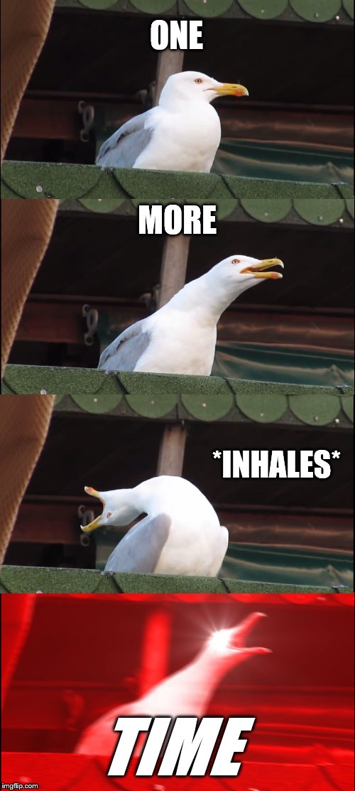 One. More. TIME!!! | ONE; MORE; *INHALES*; TIME | image tagged in memes,inhaling seagull,one more time,intensifies,triggered,funny | made w/ Imgflip meme maker