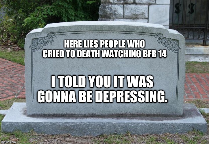 Gravestone | HERE LIES PEOPLE WHO CRIED TO DEATH WATCHING BFB 14; I TOLD YOU IT WAS GONNA BE DEPRESSING. | image tagged in gravestone | made w/ Imgflip meme maker