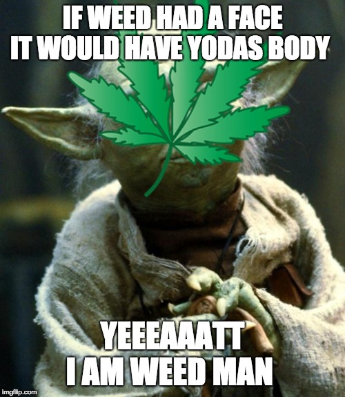 weed man !!!! lol lol | IF WEED HAD A FACE IT WOULD HAVE YODAS BODY; YEEEAAATT I AM WEED MAN | image tagged in funny | made w/ Imgflip meme maker