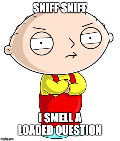 Stewie Griffin | SNIFF SNIFF I SMELL A LOADED QUESTION | image tagged in stewie griffin | made w/ Imgflip meme maker
