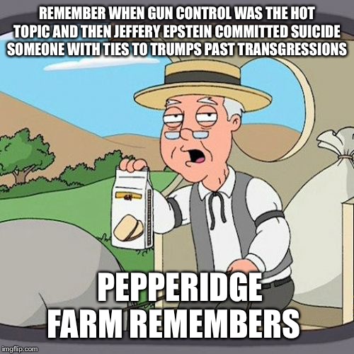 Pepperidge Farm Remembers | REMEMBER WHEN GUN CONTROL WAS THE HOT TOPIC AND THEN JEFFERY EPSTEIN COMMITTED SUICIDE SOMEONE WITH TIES TO TRUMPS PAST TRANSGRESSIONS; PEPPERIDGE FARM REMEMBERS | image tagged in memes,pepperidge farm remembers | made w/ Imgflip meme maker