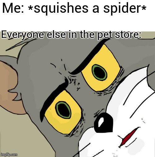 Unsettled Tom | Me: *squishes a spider*; Everyone else in the pet store: | image tagged in memes,unsettled tom | made w/ Imgflip meme maker