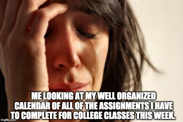 First World Problems | ME LOOKING AT MY WELL ORGANIZED CALENDAR OF ALL OF THE ASSIGNMENTS I HAVE TO COMPLETE FOR COLLEGE CLASSES THIS WEEK. | image tagged in memes,first world problems | made w/ Imgflip meme maker