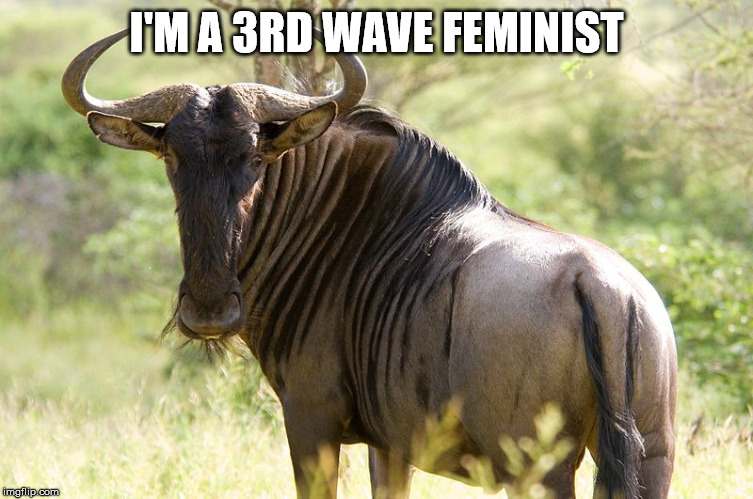 Wildebeest | I'M A 3RD WAVE FEMINIST | image tagged in wildebeest | made w/ Imgflip meme maker