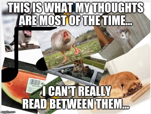 Random stuff happening | THIS IS WHAT MY THOUGHTS ARE MOST OF THE TIME... I CAN'T REALLY READ BETWEEN THEM... | image tagged in random stuff happening | made w/ Imgflip meme maker