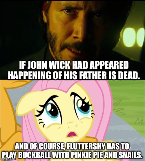 John wick and Fluttershy story | IF JOHN WICK HAD APPEARED HAPPENING OF HIS FATHER IS DEAD. AND OF COURSE, FLUTTERSHY HAS TO PLAY BUCKBALL WITH PINKIE PIE AND SNAILS. | image tagged in john wick,fluttershy,mlp fim,keanu reeves | made w/ Imgflip meme maker