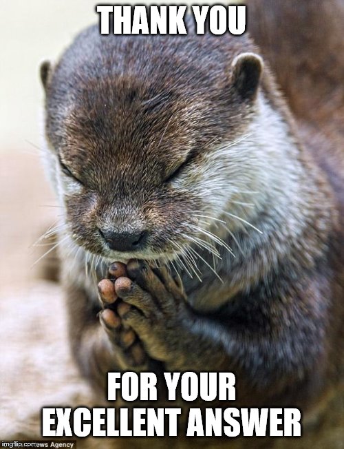 Thank you Lord Otter | THANK YOU FOR YOUR EXCELLENT ANSWER | image tagged in thank you lord otter | made w/ Imgflip meme maker