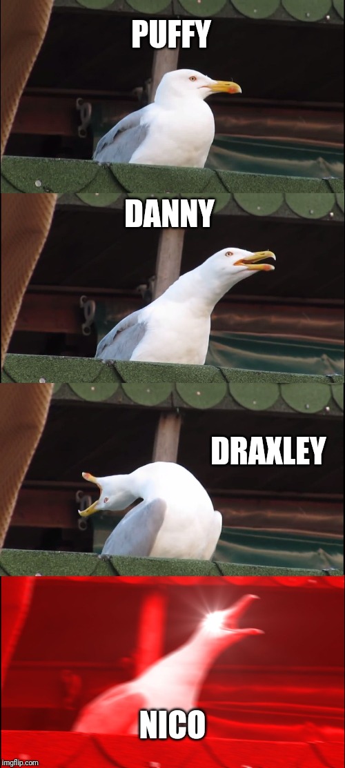 Inhaling Seagull | PUFFY; DANNY; DRAXLEY; NICO | image tagged in memes,inhaling seagull | made w/ Imgflip meme maker