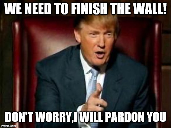 Donald Trump | WE NEED TO FINISH THE WALL! DON'T WORRY,I WILL PARDON YOU | image tagged in donald trump | made w/ Imgflip meme maker