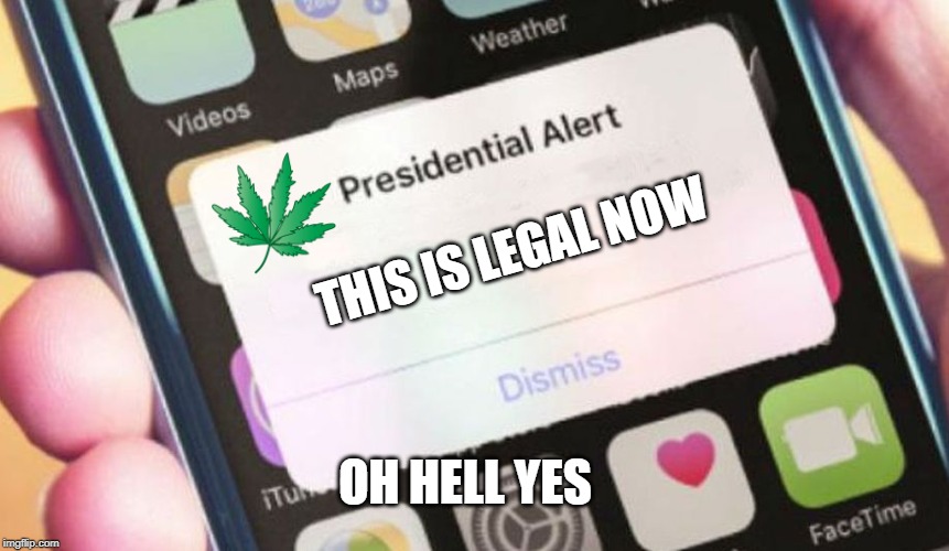 Presidential Alert | THIS IS LEGAL NOW; OH HELL YES | image tagged in memes,presidential alert | made w/ Imgflip meme maker