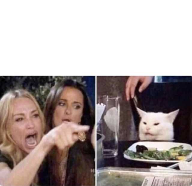 Real housewives screaming cat Blank Meme Template