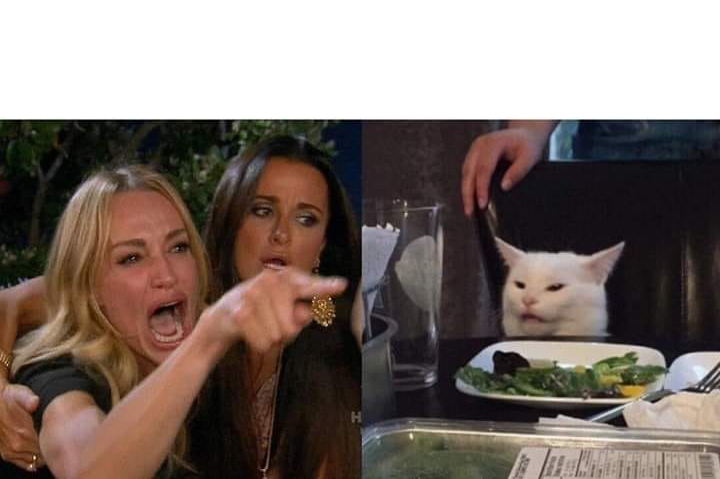 Gato blanco Blank Meme Template